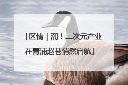 区情｜潮！二次元产业在青浦赵巷悄然启航