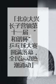 北京大兴长子营镇第十一届 “和谐杯” 乒乓球大赛圆满落幕，全民运动热潮涌动
