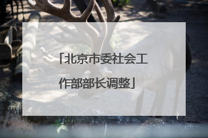 北京市委社会工作部部长调整