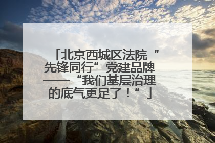 北京西城区法院“先锋同行”党建品牌——“我们基层治理的底气更足了！”