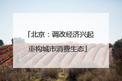北京：调改经济兴起 重构城市消费生态