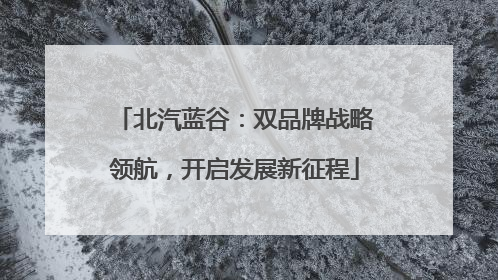 北汽蓝谷：双品牌战略领航，开启发展新征程