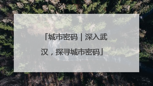 城市密码｜深入武汉，探寻城市密码