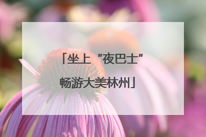 坐上“夜巴士” 畅游大美林州