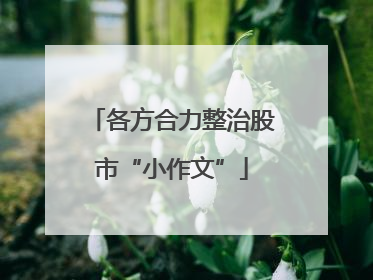 各方合力整治股市“小作文”