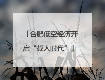 合肥低空经济开启“载人时代”