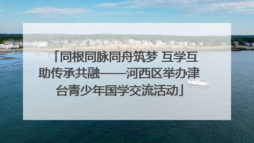 同根同脉同舟筑梦 互学互助传承共融——河西区举办津台青少年国学交流活动