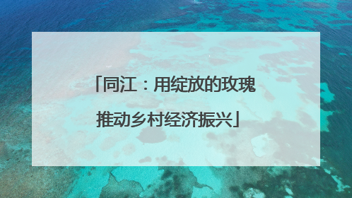 同江：用绽放的玫瑰 推动乡村经济振兴