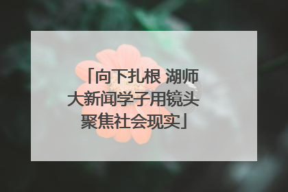 向下扎根 湖师大新闻学子用镜头聚焦社会现实