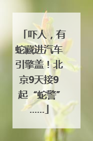吓人，有蛇藏进汽车引擎盖！北京9天接9起“蛇警”……