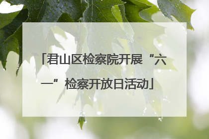 君山区检察院开展“六一”检察开放日活动