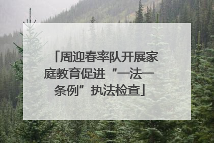 周迎春率队开展家庭教育促进“一法一条例”执法检查