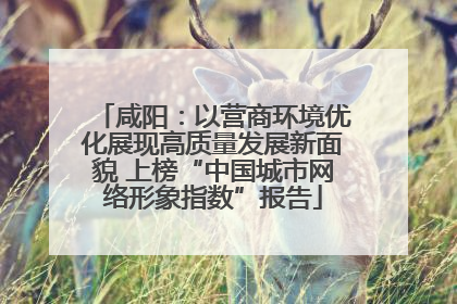 咸阳：以营商环境优化展现高质量发展新面貌 上榜“中国城市网络形象指数”报告