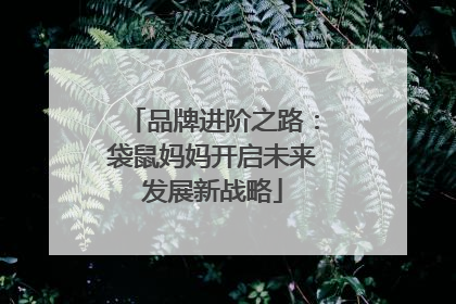 品牌进阶之路：袋鼠妈妈开启未来发展新战略