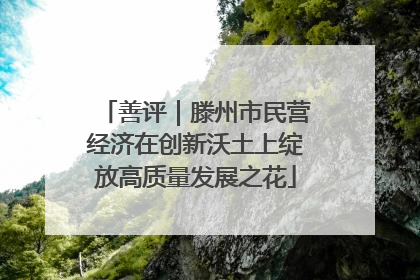 善评｜滕州市民营经济在创新沃土上绽放高质量发展之花