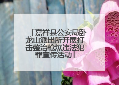 嘉祥县公安局卧龙山派出所开展打击整治枪爆违法犯罪宣传活动