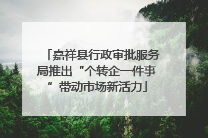 嘉祥县行政审批服务局推出“个转企一件事”带动市场新活力