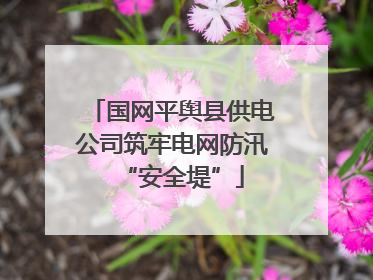 国网平舆县供电公司筑牢电网防汛“安全堤”
