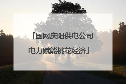 国网庆阳供电公司电力赋能桃花经济