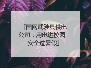 国网武陟县供电公司：用电进校园  安全过暑假