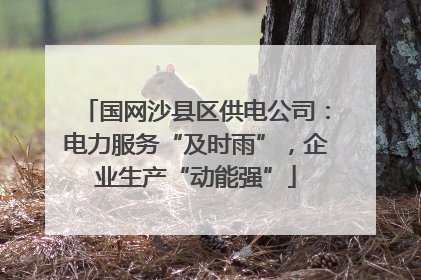 国网沙县区供电公司：电力服务“及时雨”，企业生产“动能强”