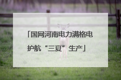 国网河南电力满格电护航“三夏”生产