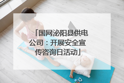 国网泌阳县供电公司：开展安全宣传咨询日活动