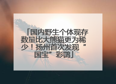 国内野生个体现存数量比大熊猫更为稀少！扬州首次发现“国宝”彩鹮