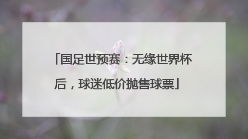 国足世预赛：无缘世界杯后，球迷低价抛售球票