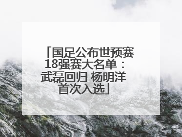 国足公布世预赛18强赛大名单：武磊回归 杨明洋首次入选