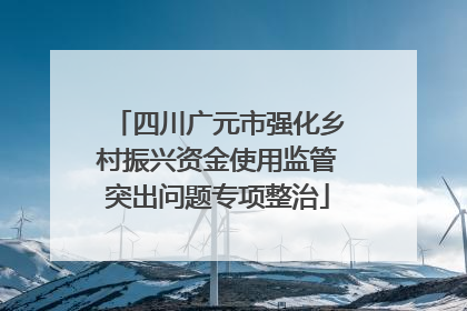 四川广元市强化乡村振兴资金使用监管突出问题专项整治