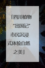 四川植物“出国记” 市民沉浸式体验自然之美