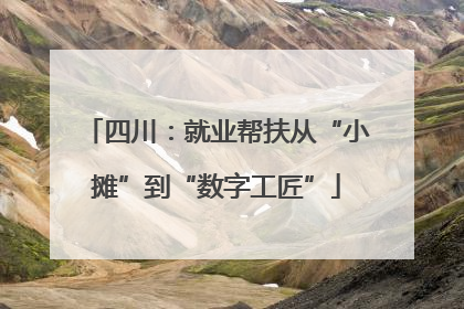 四川：就业帮扶从“小摊”到“数字工匠”