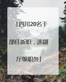 四川20名干部任新职，涉副厅级职务