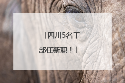 四川5名干部任新职！