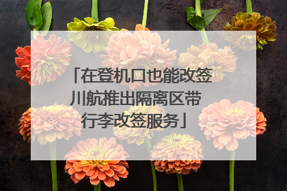 在登机口也能改签 川航推出隔离区带行李改签服务