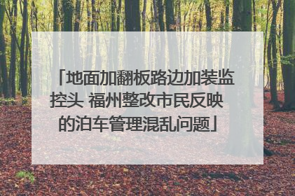 地面加翻板路边加装监控头 福州整改市民反映的泊车管理混乱问题
