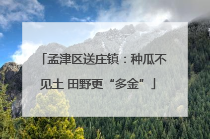 孟津区送庄镇：种瓜不见土 田野更“多金”