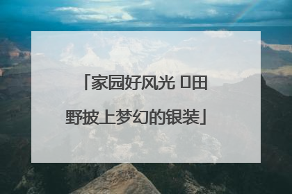 家园好风光 ⎮田野披上梦幻的银装
