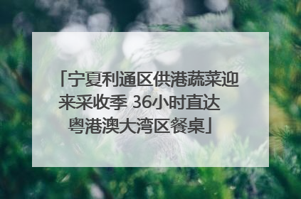 宁夏利通区供港蔬菜迎来采收季 36小时直达粤港澳大湾区餐桌