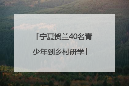 宁夏贺兰40名青少年到乡村研学