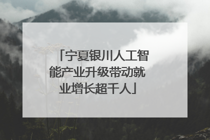 宁夏银川人工智能产业升级带动就业增长超千人