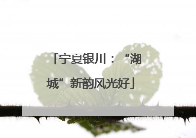 宁夏银川：“湖城”新韵风光好