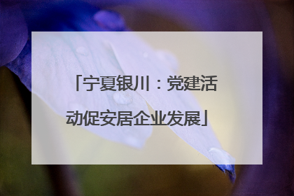 宁夏银川：党建活动促安居企业发展