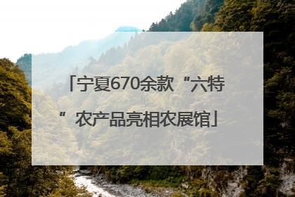 宁夏670余款“六特”农产品亮相农展馆