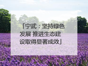 宁武：坚持绿色发展 推进生态建设取得显著成效