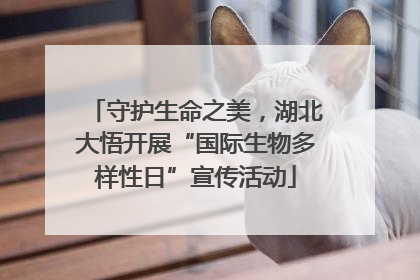 守护生命之美，湖北大悟开展“国际生物多样性日”宣传活动
