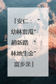 安仁：“幼林套瓜”趟新路 “林地生金”富乡亲