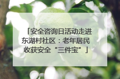 安全咨询日活动走进东湖村社区：老年居民收获安全“三件宝”