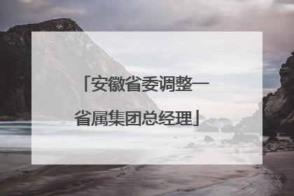 安徽省委调整一省属集团总经理